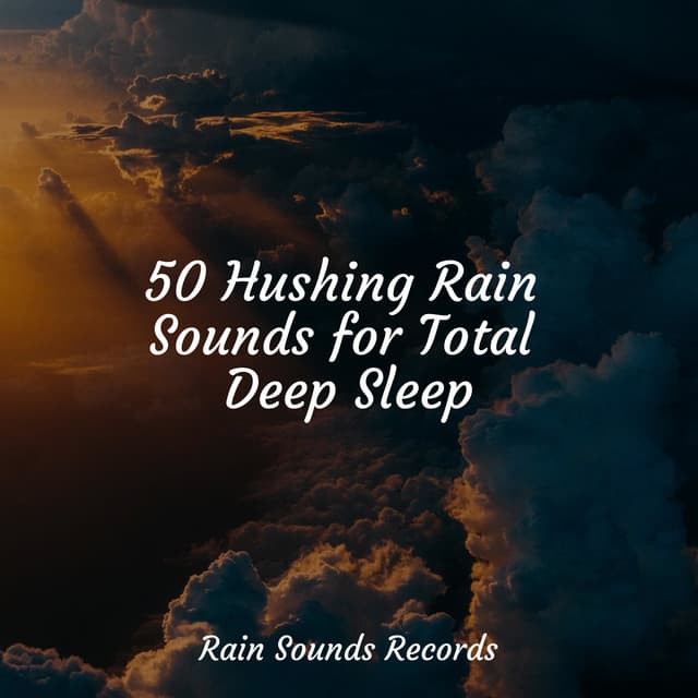 50 Hushing Rain Sounds for Total Deep Sleep - Sleepy Night Music