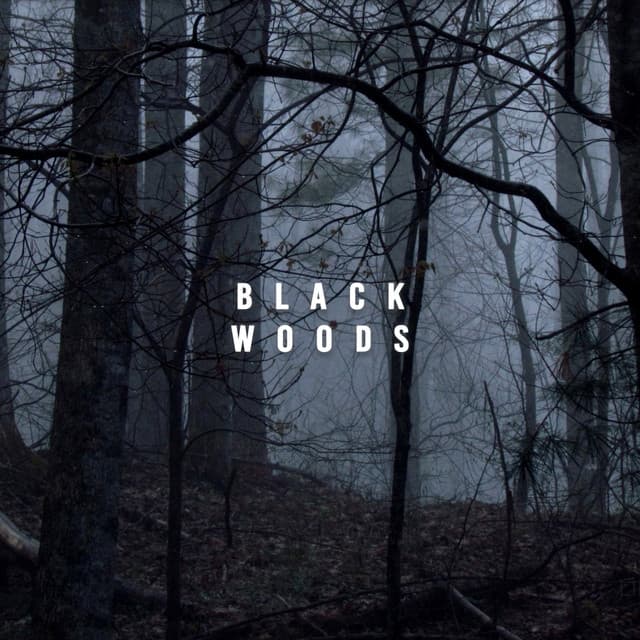 Black Woods - Heavy Rain Sounds
