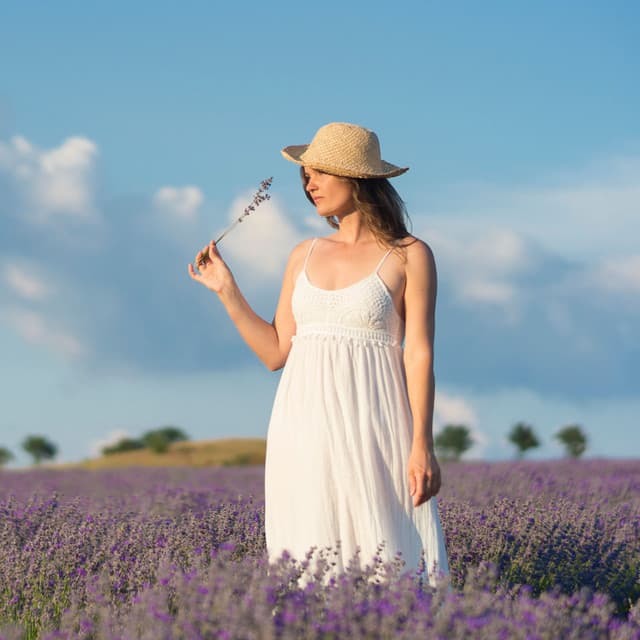 Enchanted Meadows: Nature Melodies of Blossoming Serenity - Nature Of Sweden
