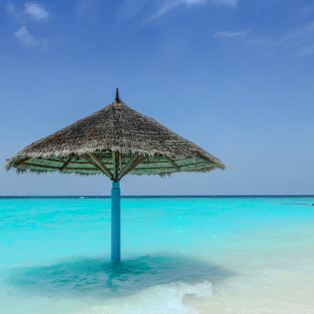 50 Meditative Waters: Focus & Concentration - Seascapers