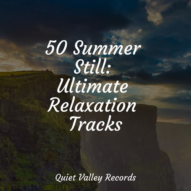 50 Summer Still: Ultimate Relaxation Tracks - Nature and Rain