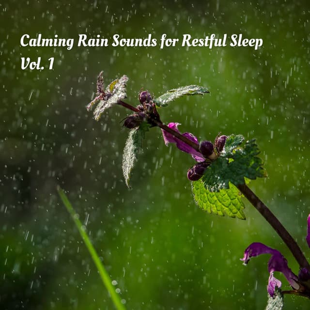 Calming Rain Sounds for Restful Sleep Vol. 1 - Relaxing Music For Sleeping