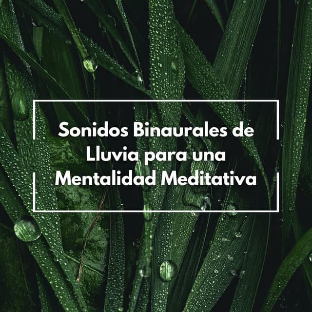 Sonidos Binaurales De Lluvia Para Una Mentalidad Meditativa - Ritmos Binaurales MT