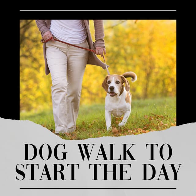 Dog Walk to Start the Day - Sleeping Music For Dogs