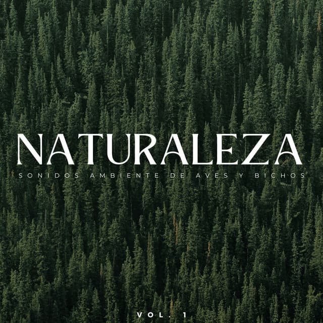 Naturaleza: Sonidos Ambiente De Aves Y Bichos Vol. 1 - Naturaleza Caldwell