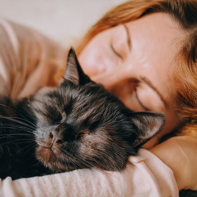 Suaves Melodías Orquestales: Calma Nocturna Para Gatos - Jason Humphries