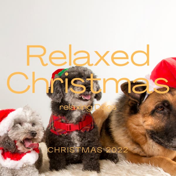 2 0 2 2 Relaxed Christmas - Dog's Music