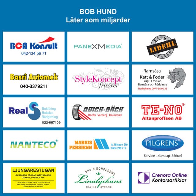 Låter som miljarder - bob hund