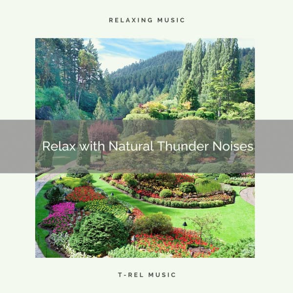Relax with Natural Thunder Noises - Baby Sleep Rain Sound