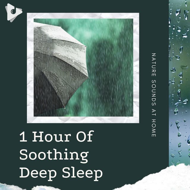1 Hour Of Soothing Deep Sleep - Nature Sounds At Home