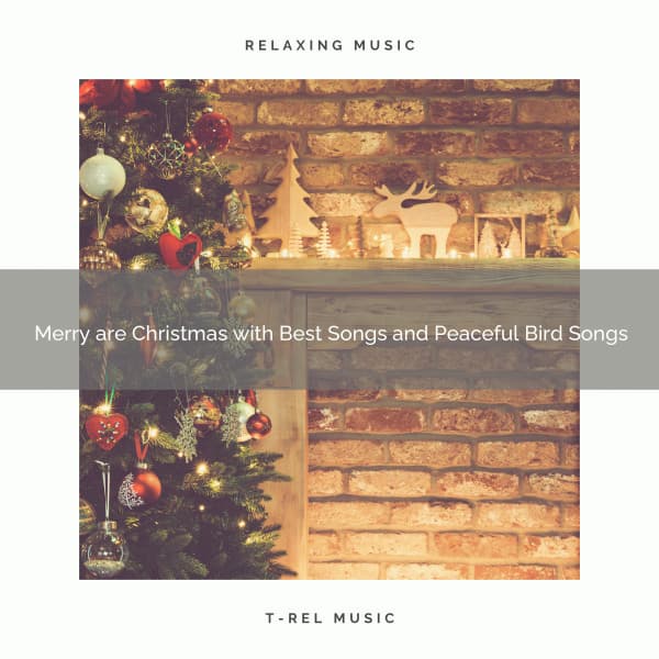 Merry are Christmas with Best Songs and Peaceful Bird Songs - Calming Sounds