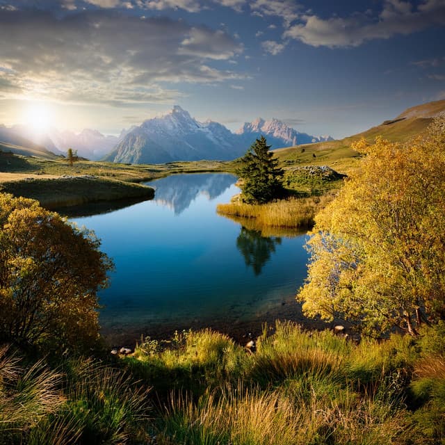 Notas Relajantes: Música Lofi Revelada - Muestras de alta frecuencia