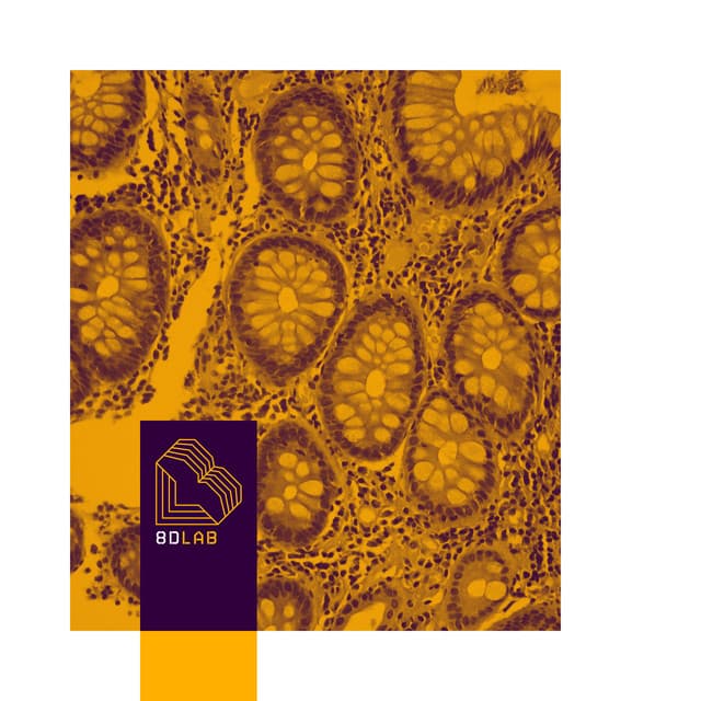 8D Lab - Música de piano