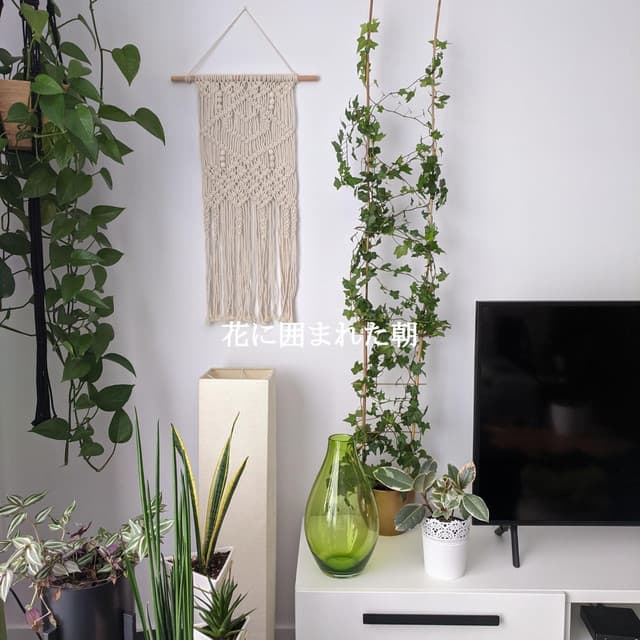 花に囲まれた朝 - Musica para Estudiar Ambiente