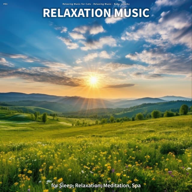 #01 Relaxation Music for Sleep, Relaxation, Meditation, Spa - Relaxing Music for Cats