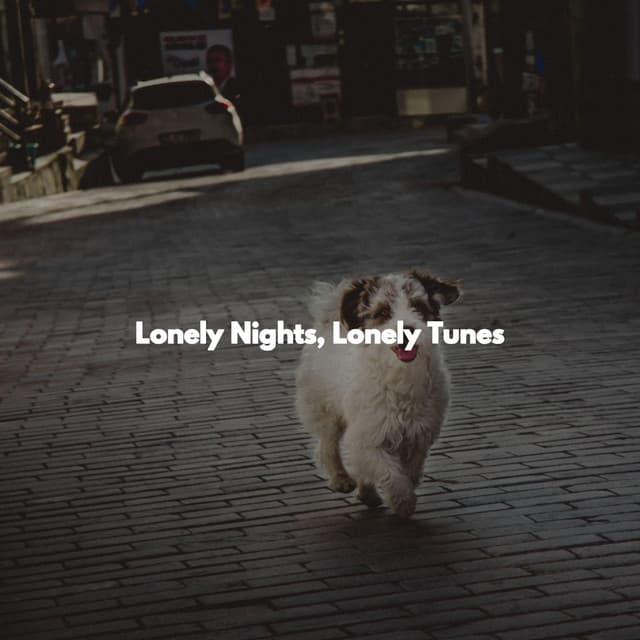 Lonely Nights, Lonely Tunes - Chill Music for Reading