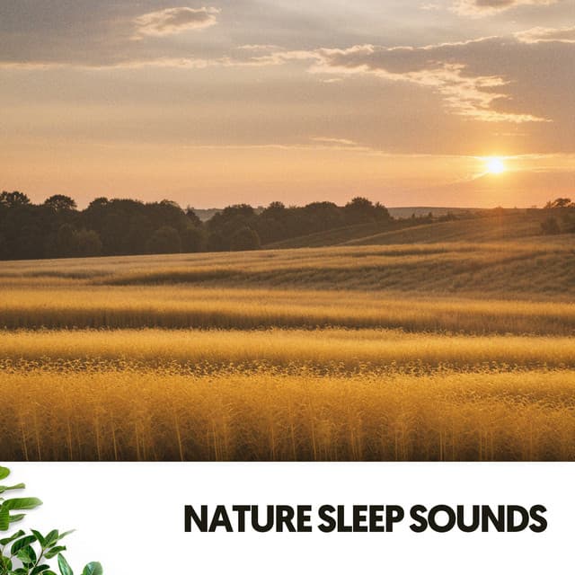 Sonidos de la Naturaleza: Nanas de la serenidad - Dog Relaxation