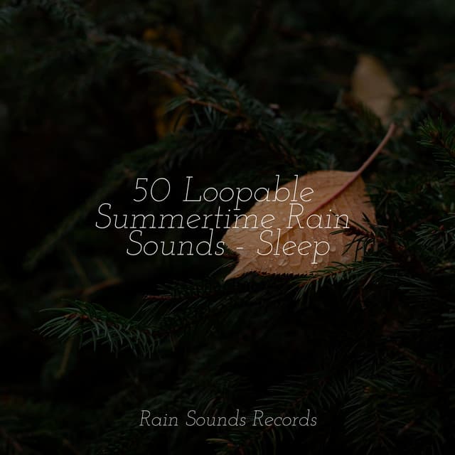 50 Loopable Summertime Rain Sounds - Sleep - Brain Study Music Guys