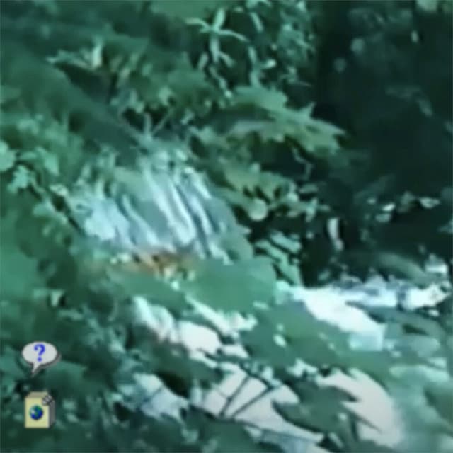 Duty Cycle | Active Cultures - Kyle Bruckmann