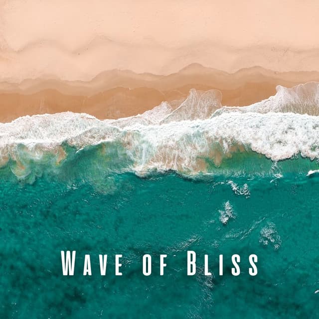 Wave of Bliss: Serene Oceanic Massage with Ambient Sounds - Waveseekers
