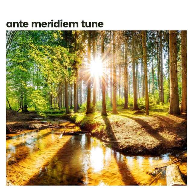 Ante Meridiem Tune - Deep Relaxation Meditation Academy