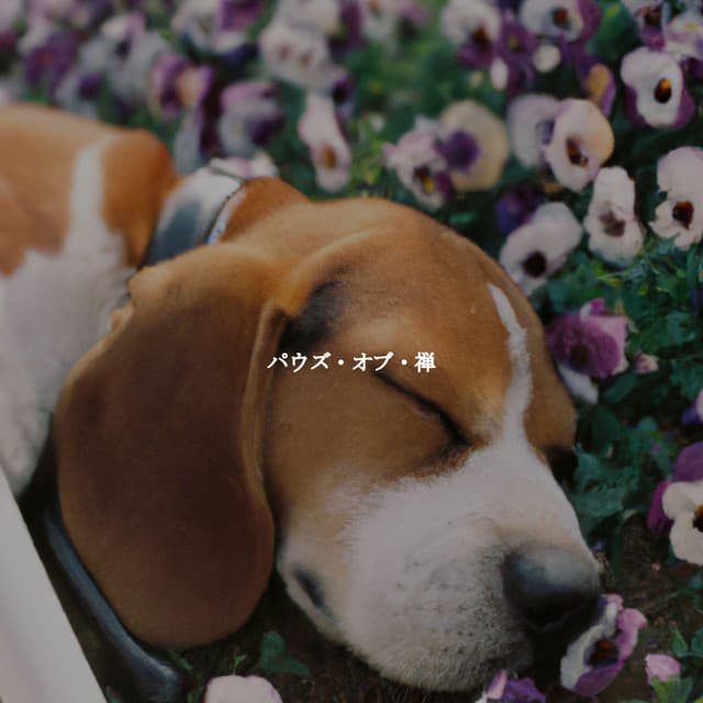 パウズ・オブ・禅 - Musique de Fond Jazz