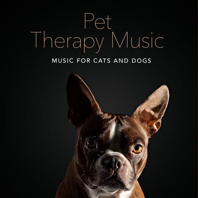 Pet Therapy Music - Music for Cats and Dogs