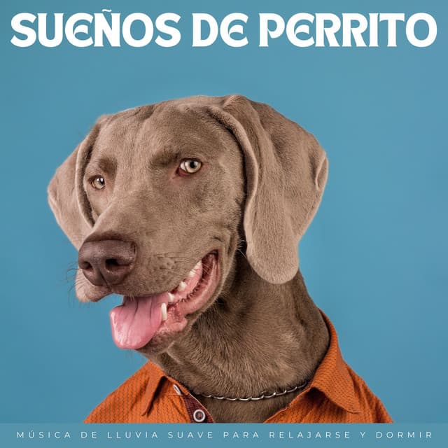 Sueños De Perrito: Música De Lluvia Suave Para Relajarse Y Dormir - Sonidos de lluvia y sonidos de la naturaleza