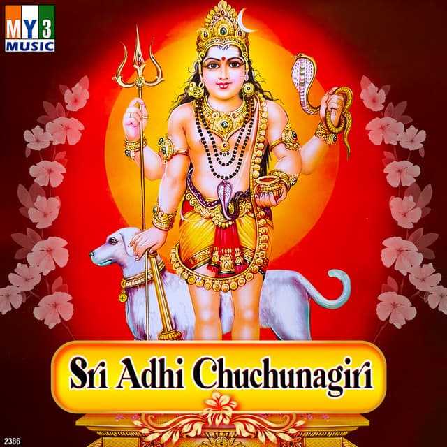 Sri Adhi Chuchunagiri - Vishnu