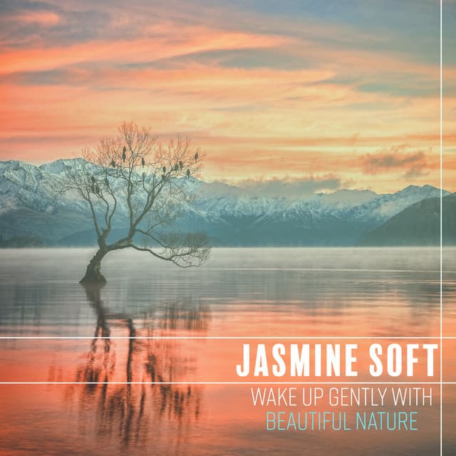 Wake Up Gently with Beautiful Nature: Good Morning Music & Singing Birds, Rain and Forest Sounds - Jasmine Soft