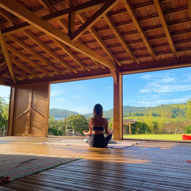 Reflective Rhythms: Music for Calm Meditation - Rainforest Meditations