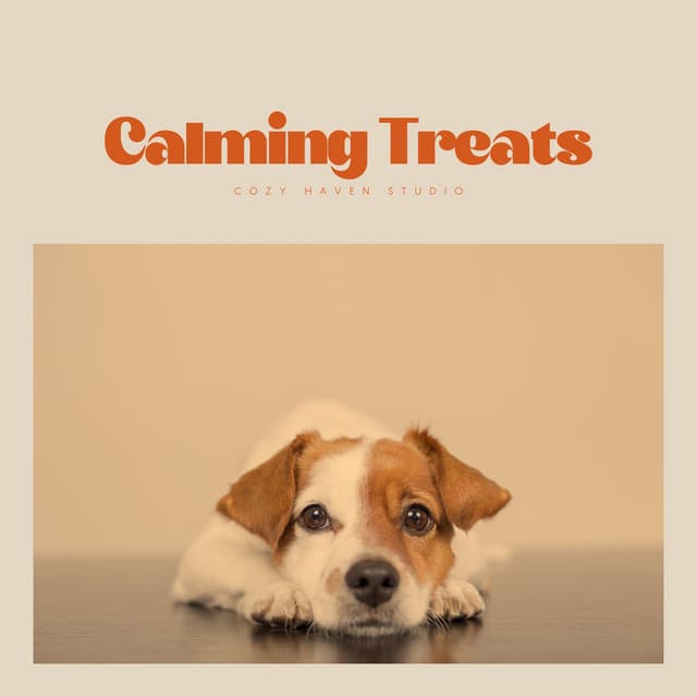 Calming Treats - Dog Bedtime