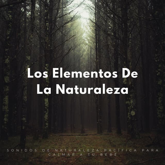 Los Elementos De La Naturaleza: Sonidos De Naturaleza Pacífica Para Calmar A Tu Bebé - Naturaleza FX
