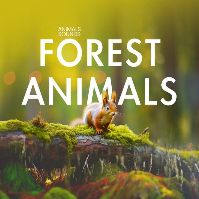 Forest Animals - Animals Sounds