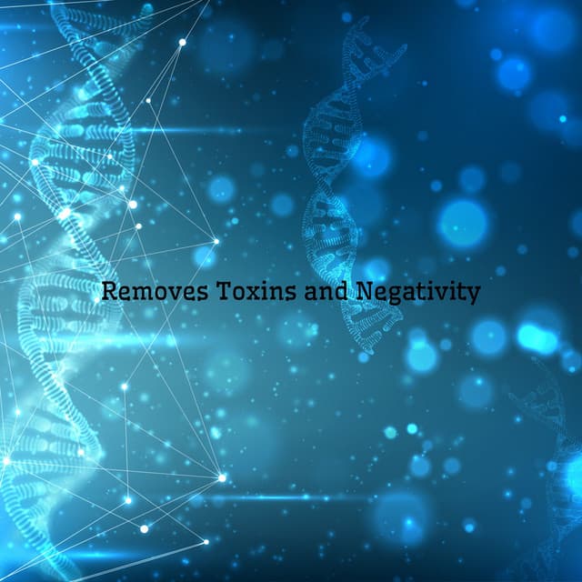 Removes Toxins and Negativity: Boost Your Immune System and Healing DNA - Brain Waves Therapy