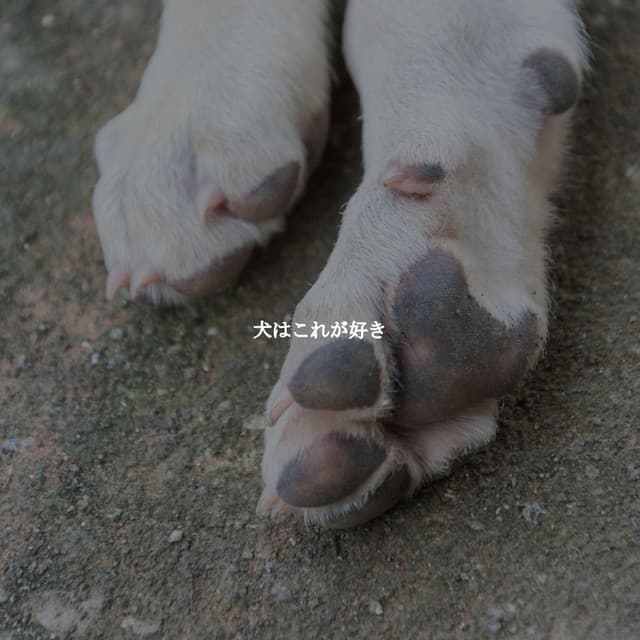 犬はこれが好き - Lounge Smooth Jazz Deluxe