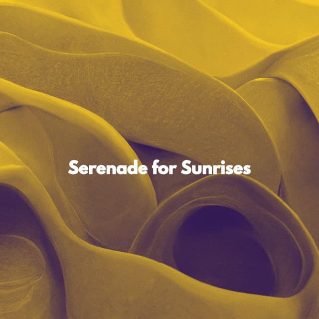Serenade for Sunrises - Light Jazz Coffee House