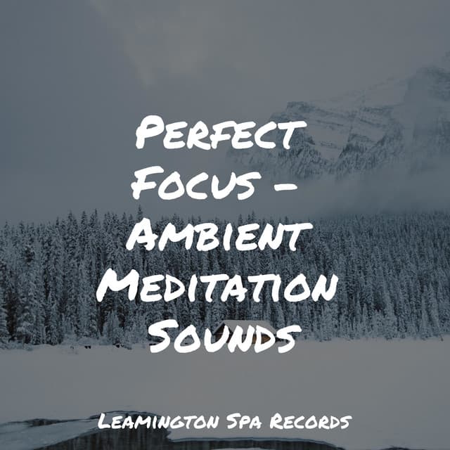 Perfect Focus - Ambient Meditation Sounds - Binaural Creations