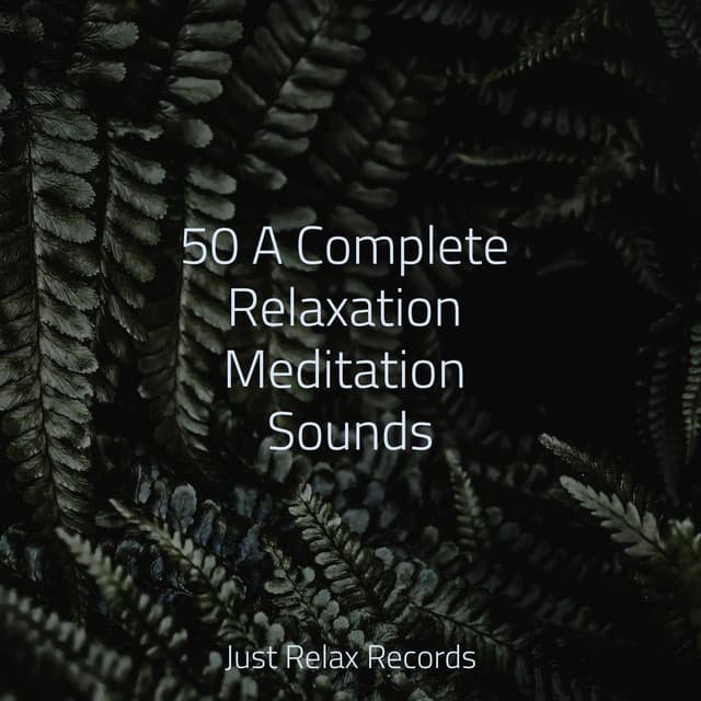 50 A Complete Relaxation Meditation Sounds - Dormir