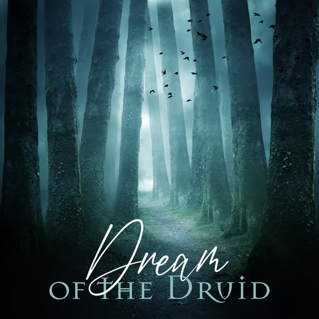 Dream of the Druid: Celtic Music for Deep Sleep & Relaxation, Celtic Peace & Harmony - Celtic Spirituality