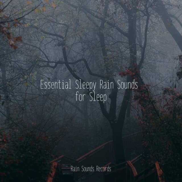 Essential Sleepy Rain Sounds for Sleep - Ocean Sounds