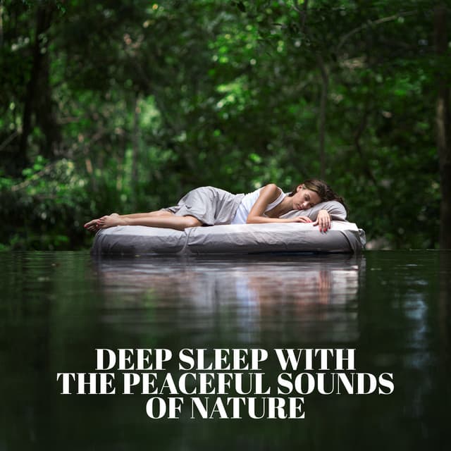 Deep Sleep with the Peaceful Sounds of Nature: Insomnia Treatment, Natural Cure, Sleep Meditation - Trouble Sleeping Music Universe