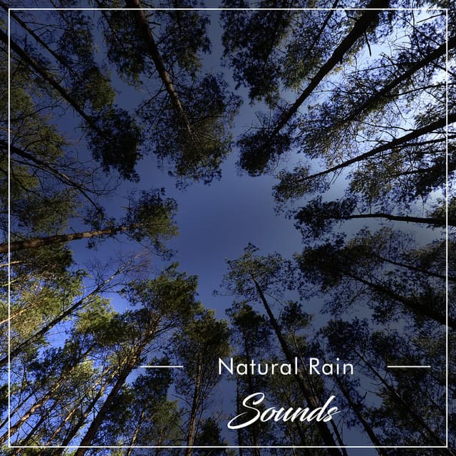 #22 Natural Rain Sounds for Calm Inside - Echoes Of Nature