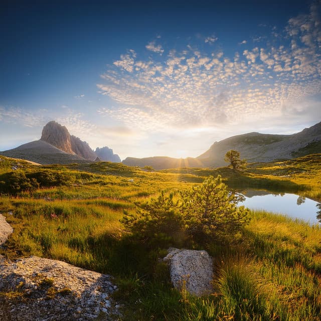 Canal de la Naturaleza sin Interrupción