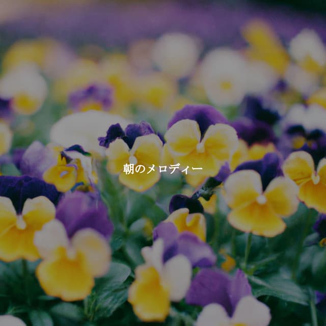 Rio Bossa Nova Quartet