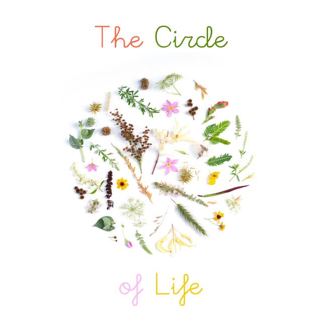 The Circle of Life - Meditation and Relaxation