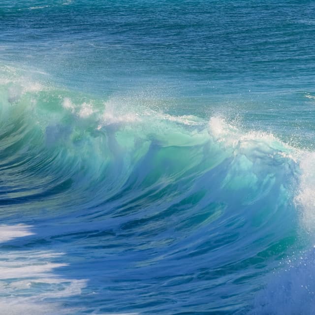 Sleepy Baby Sounds: Smooth White Noise, Calm Brown Noise and Hypnotic Womb Sound - Baby Shushing