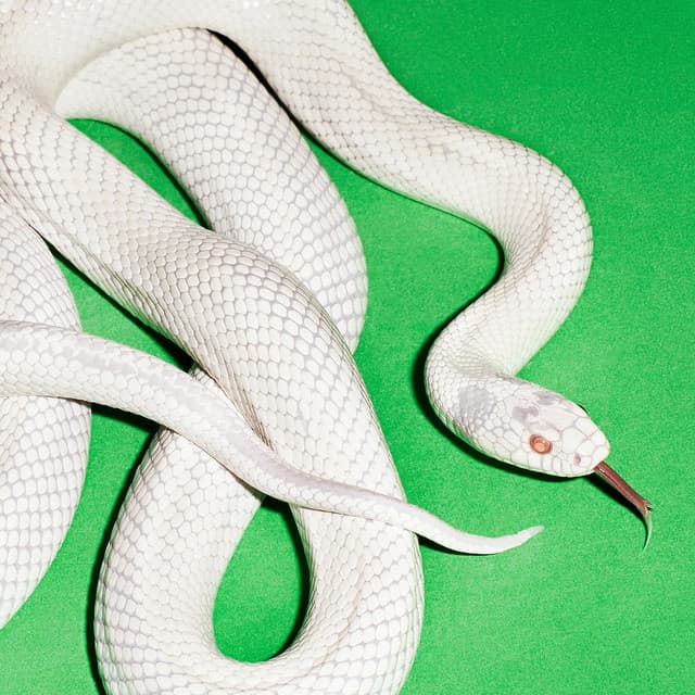 private music - Deftones