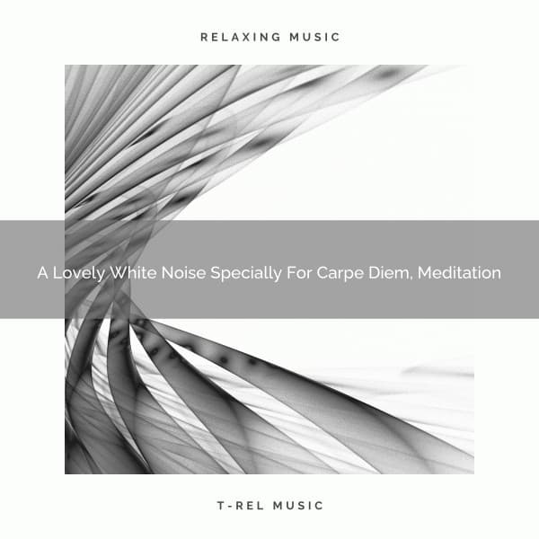 A Lovely White Noise Specially For Carpe Diem, Meditation - Soothing Noise & Sleepful Sounds