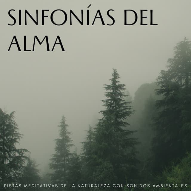 Sinfonías Del Alma: Pistas Meditativas De La Naturaleza Con Sonidos Ambientales - Reiki Consorte de Curación